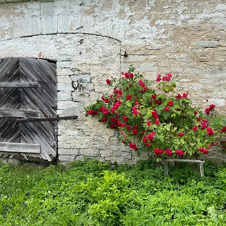 Marta 8 - House & Garden