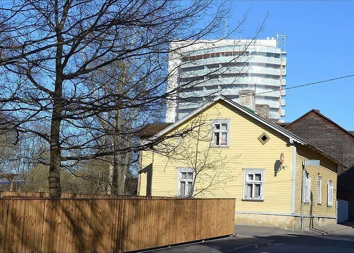 Marta 8 - House & Garden Gasthuis