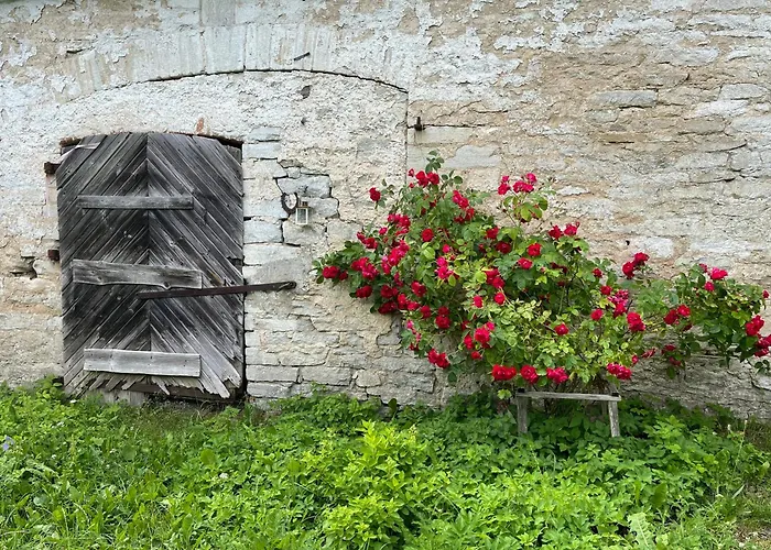 Marta 8 - House & Garden